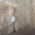 Dada' * Trani